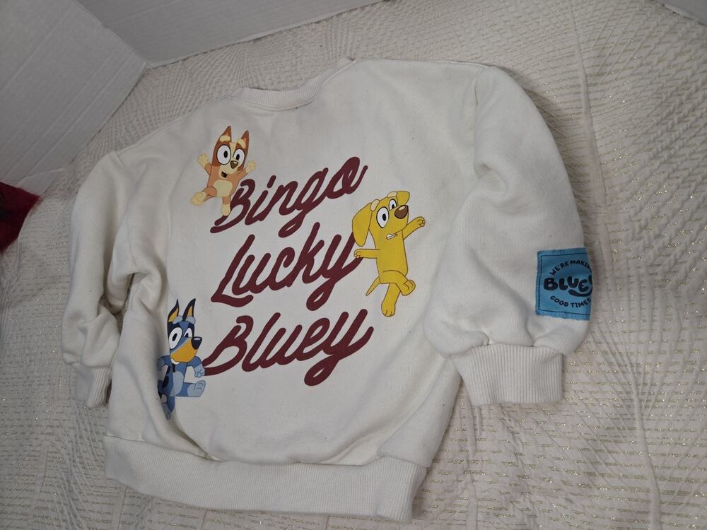 Zara Bluey & Bingo Graphic Pullover Sweater Crewneck Long Sleeve Ivory 5t